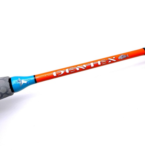 ARTICO DENTEX IN LINEA