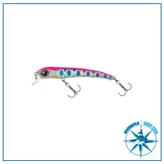 Molix Audace 1 Molix Audace