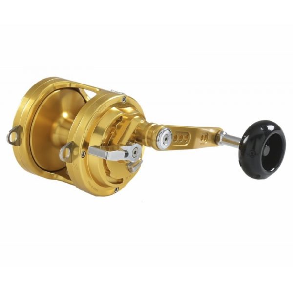 GLADIATOR CUB 50 oro