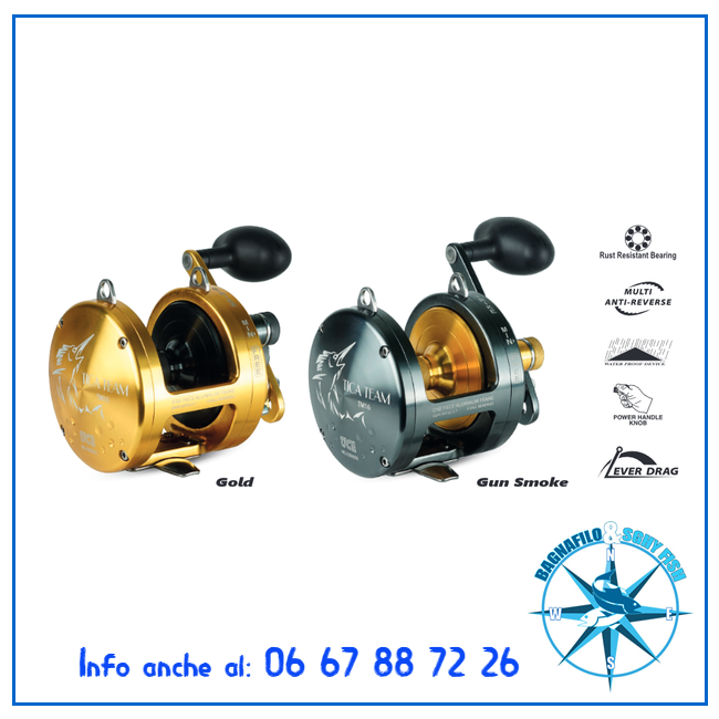 TICA Team 16 LB ORO 1 TICA Team 16 LB ORO