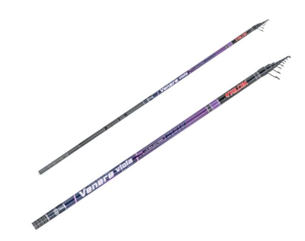 Falcon Venere Viola