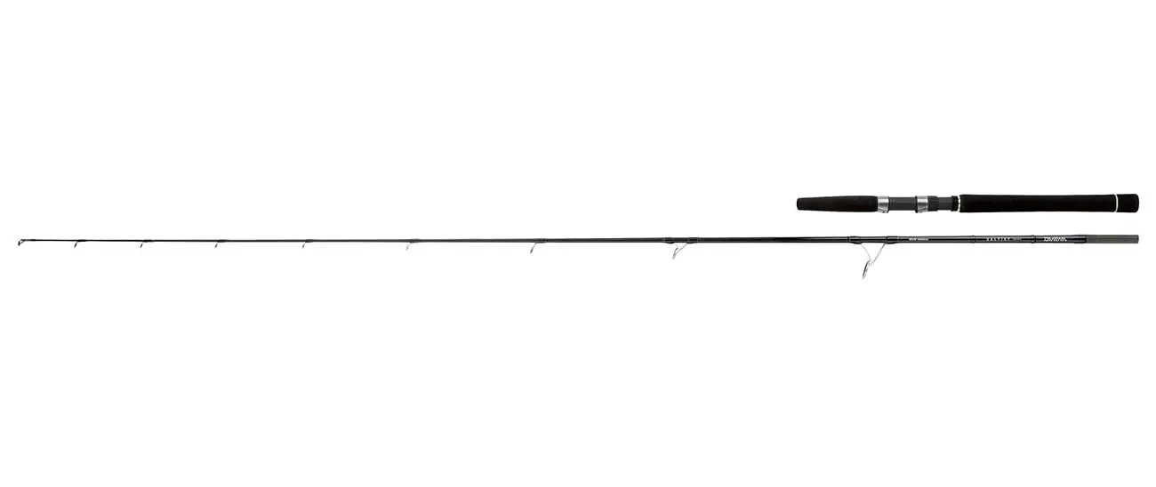 Daiwa Saltist Inshore 1 Daiwa Saltist Inshore
